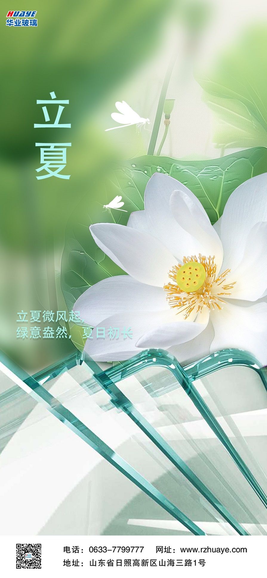 玻璃 - 副本